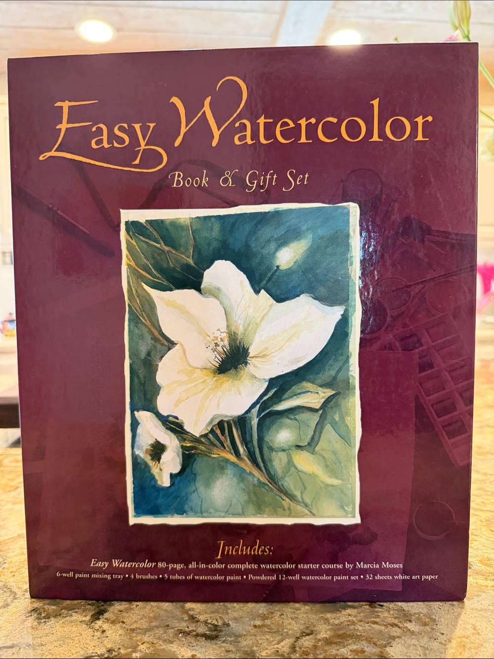 Easy Watercolor Book & Gift Set - Burgundy Floral Cover